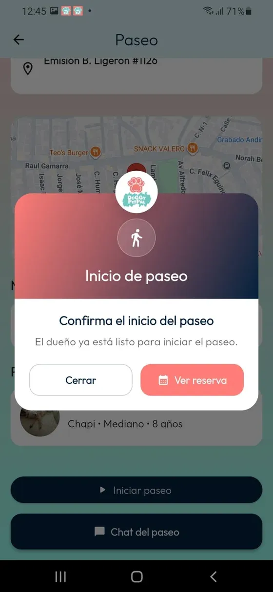 Aviso Inicio de paseo que informa que el Dueño está listo, con acciones Cerrar y Ver reserva.