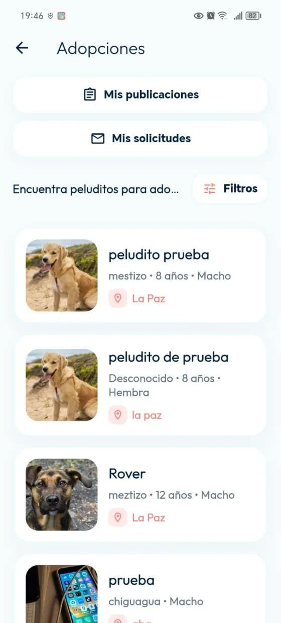 Listado de Adopciones con tarjetas de los peluditos publicados y sus características.