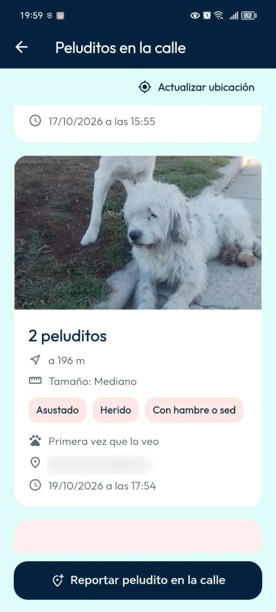 Listado comunitario con el botón Reportar peludito en la calle.