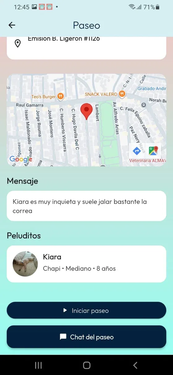 Detalle del paseo con ubicación, mensaje, peludito y botones Iniciar paseo y Chat del paseo.