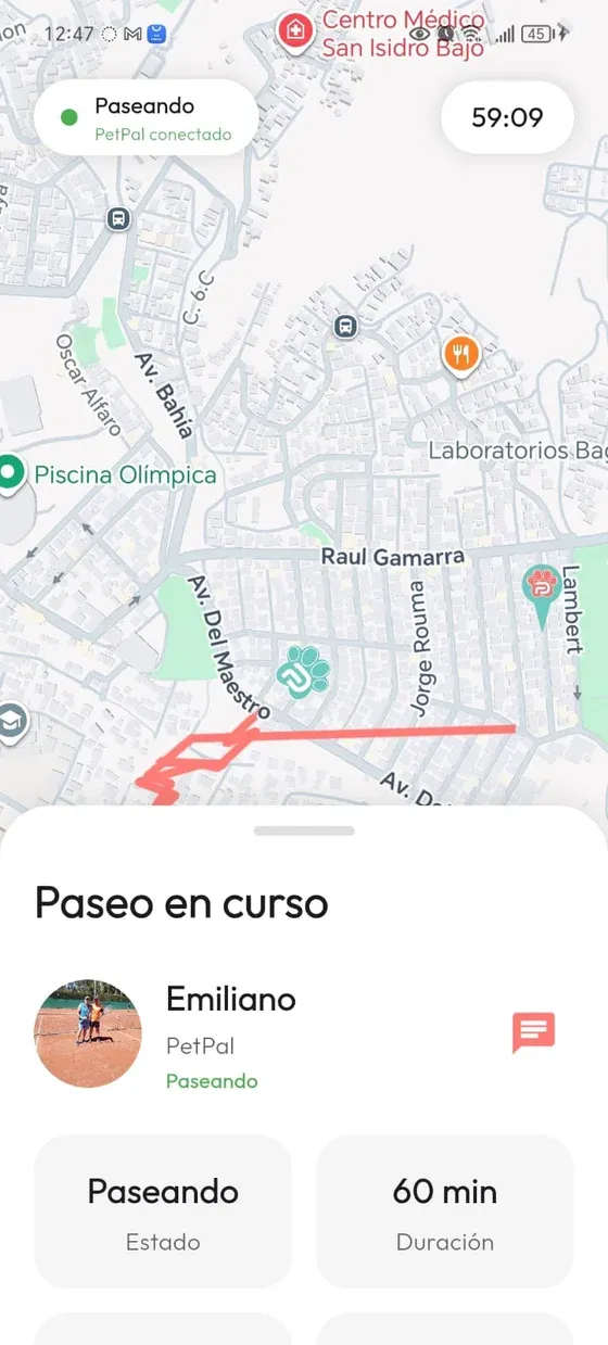 Pantalla del Dueño con estado Paseando, mapa, trazado, información del PetPal y acceso al chat.
