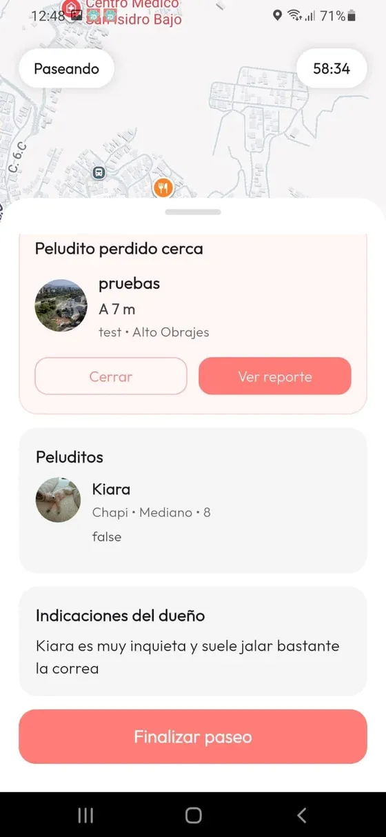 Pantalla del paseo activo con el botón Finalizar paseo en la parte inferior.