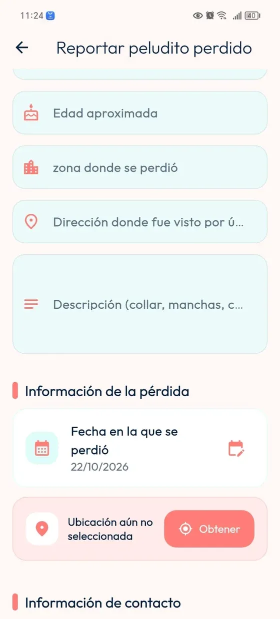 Formulario con zona, dirección del último avistamiento, descripción, fecha de pérdida y sección de ubicación.