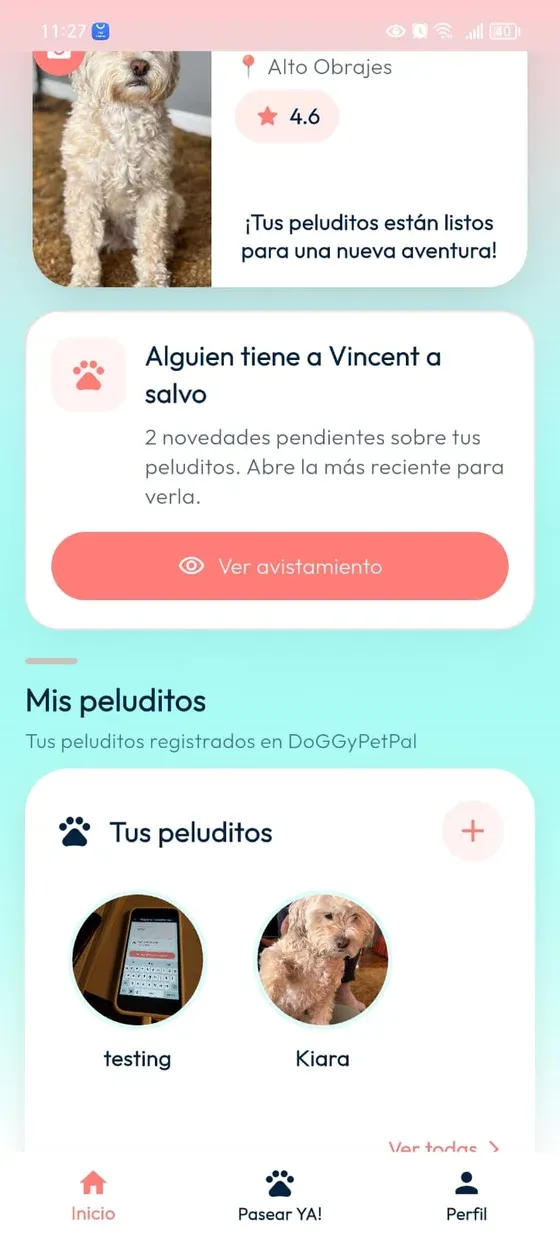 Home del Dueño del peludito con el aviso Alguien tiene a Vincent a salvo y el botón Ver avistamiento.