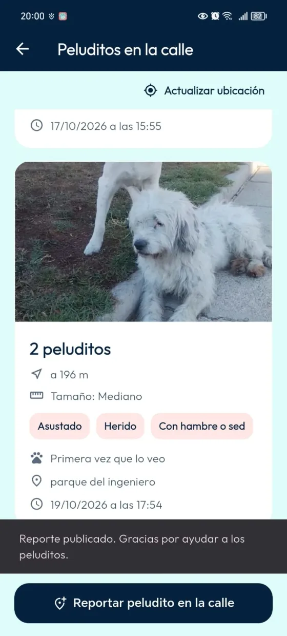 Listado comunitario con el mensaje Reporte publicado, Gracias por ayudar a los peluditos.