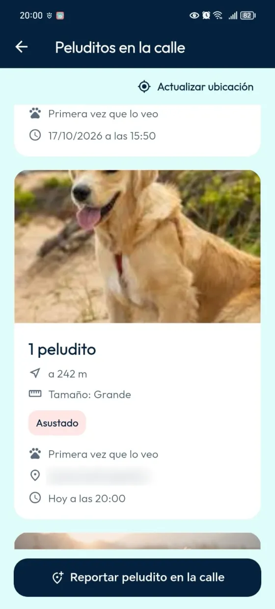 Tarjeta de un reporte comunitario con fotografía y características del peludito.