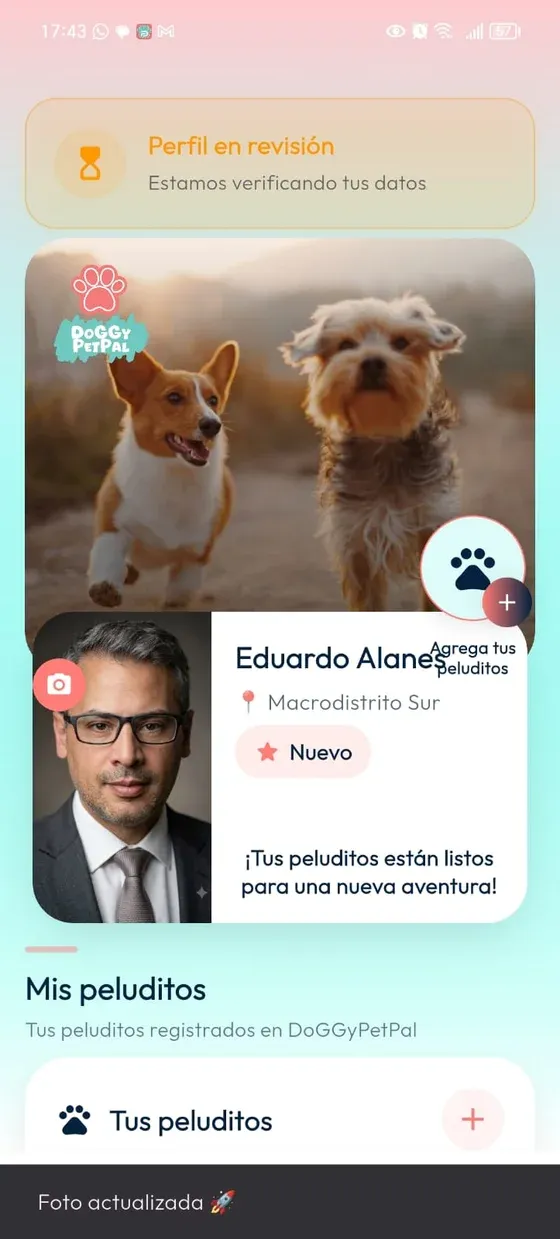 Home real de Dueño en DoGGyPetPal con el aviso Perfil en revisión y acceso a Mis peluditos.