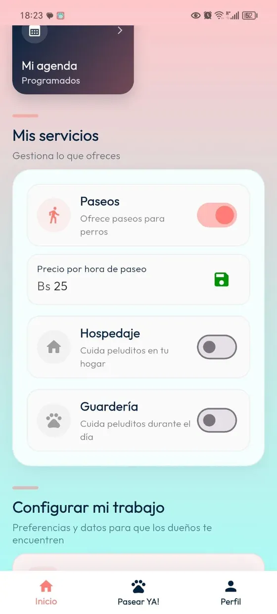 Mis servicios: Paseos activados con campo Precio por hora de paseo e icono para guardar.