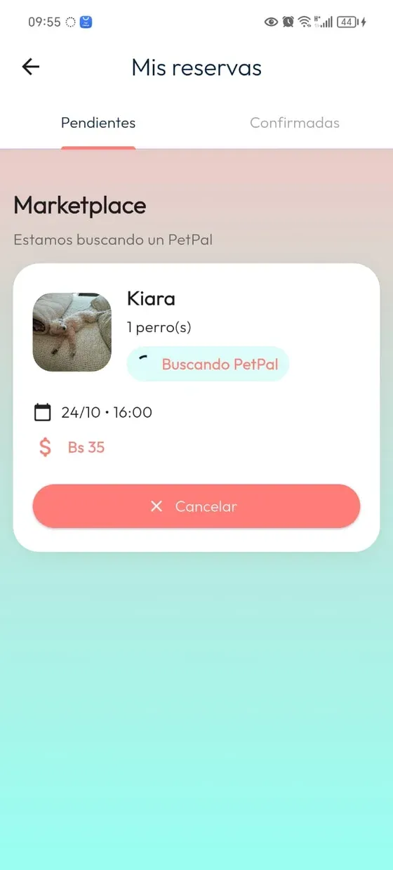 Mis reservas, Pendientes: solicitud de Marketplace en estado Buscando PetPal.