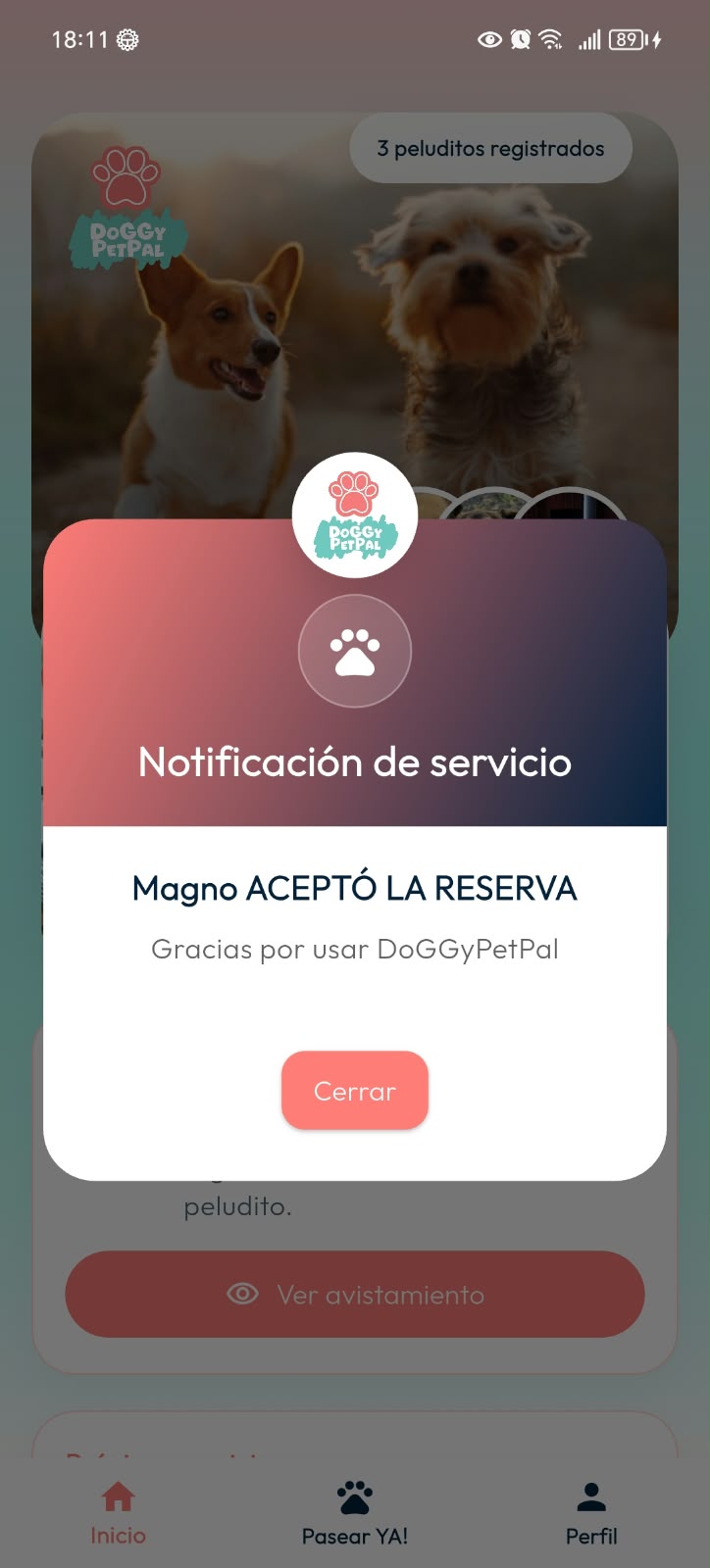 Notificación de DoGGyPetPal que informa que el PetPal aceptó la reserva.