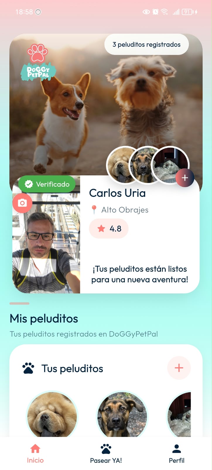Home real de DoGGyPetPal con perfil del Dueño, estado Verificado, valoración, ubicación, peluditos registrados, sección Mis peluditos y navegación principal.