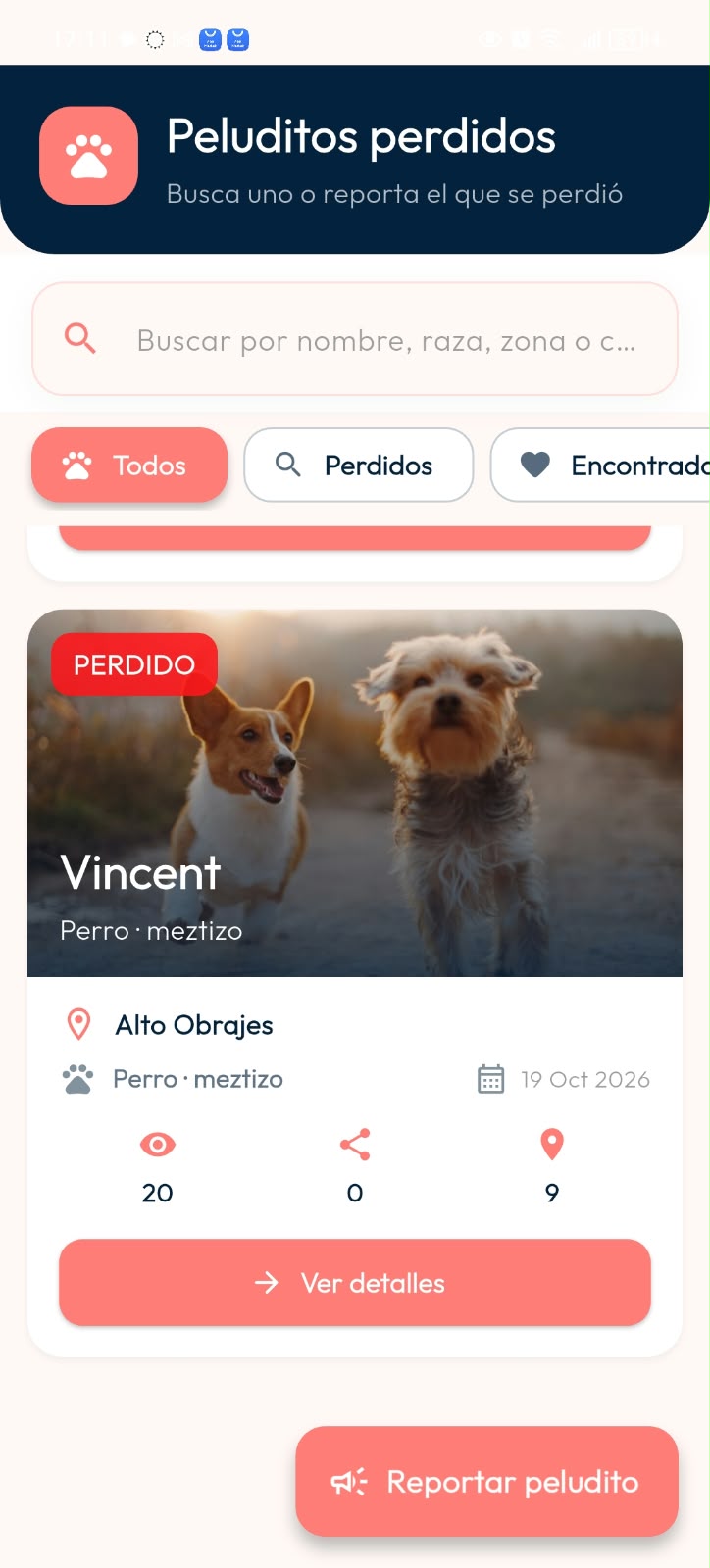 Pantalla Peluditos perdidos de DoGGyPetPal con búsqueda, filtros y un reporte con fotografía y zona donde se perdió el peludito.