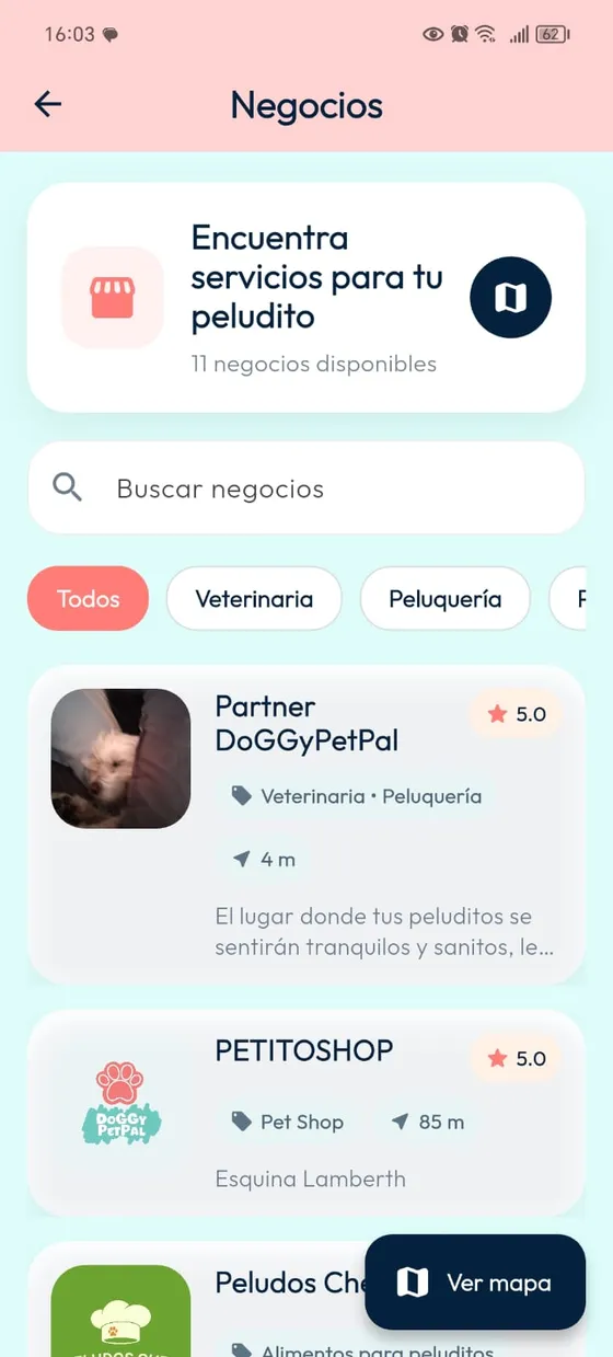 Vista de Dueños: listado real de negocios con categorías, distancias y acceso al mapa.