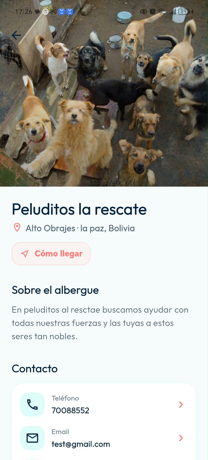Perfil de un albergue en DoGGyPetPal con fotografía de sus peluditos, ubicación, descripción y datos de contacto.