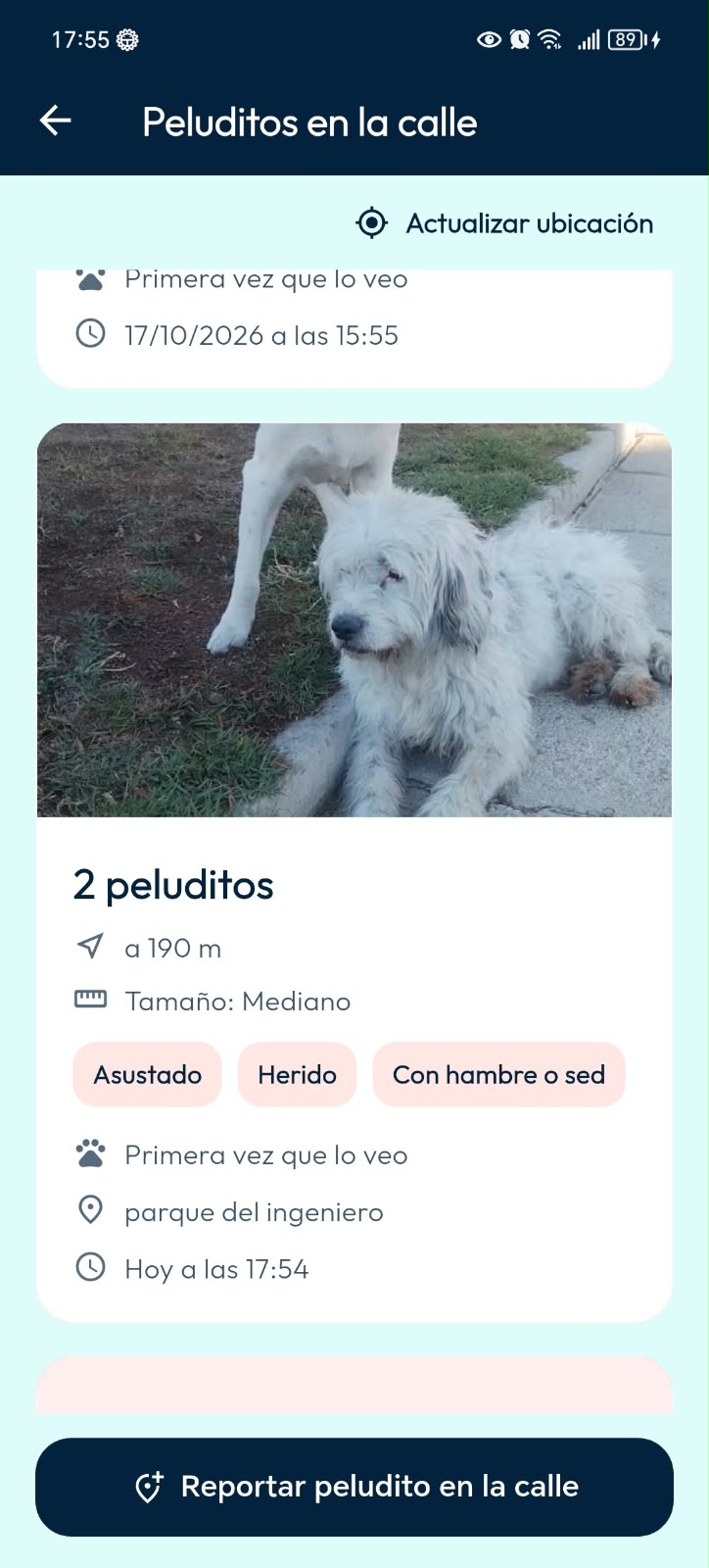Peluditos en la calle en DoGGyPetPal: reporte de dos peluditos con fotografía, distancia, ubicación y necesidades de ayuda.